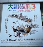 特別展「大哺乳類展３－わけてつなげて大行進」に投稿された画像（2024/6/2）