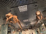 国立科学博物館に投稿された画像（2024/6/2）