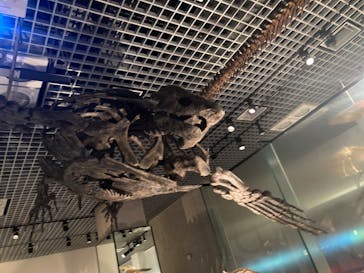 国立科学博物館に投稿された画像（2024/6/2）