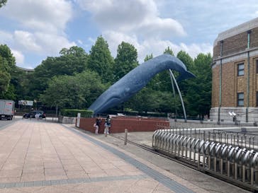 国立科学博物館に投稿された画像（2024/6/2）