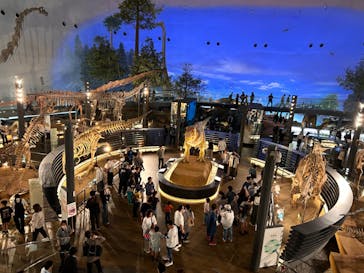 福井県立恐竜博物館に投稿された画像（2024/6/2）