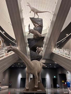 福井県立恐竜博物館に投稿された画像（2024/6/2）