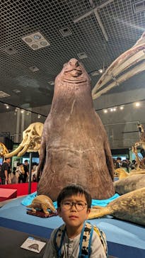 特別展「大哺乳類展３－わけてつなげて大行進」に投稿された画像（2024/6/2）