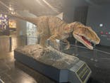 福井県立恐竜博物館に投稿された画像（2024/6/2）