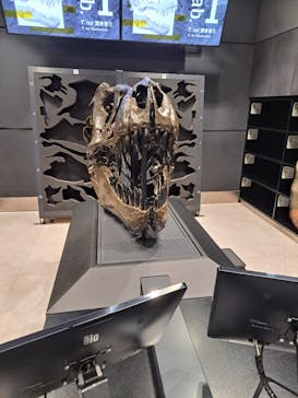 福井県立恐竜博物館に投稿された画像（2024/6/2）