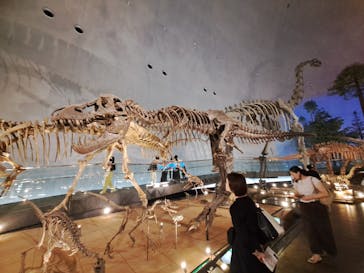 福井県立恐竜博物館に投稿された画像（2024/6/2）