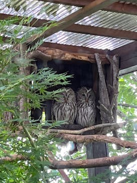 環境水族館アクアマリンふくしまに投稿された画像（2024/5/26）