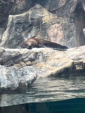 環境水族館アクアマリンふくしまに投稿された画像（2024/5/26）