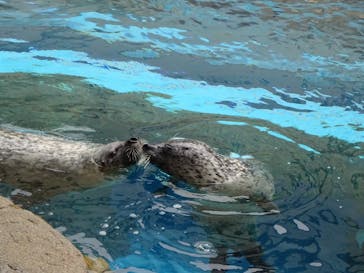 京都水族館に投稿された画像（2024/6/2）