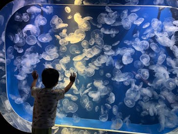 鴨川シーワールドに投稿された画像（2024/6/2）