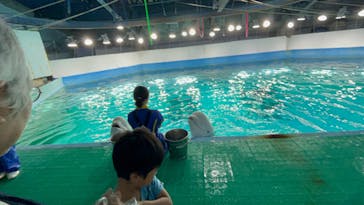 鴨川シーワールドに投稿された画像（2024/6/2）