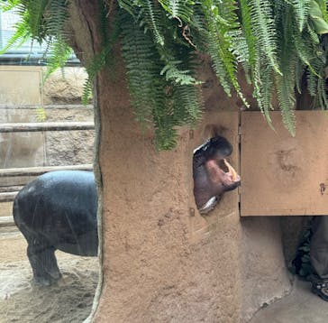 神戸どうぶつ王国に投稿された画像（2024/6/2）