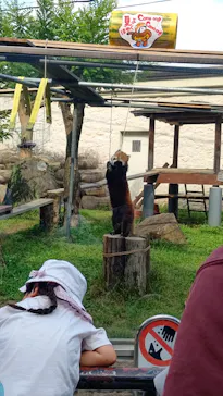 天王寺動物園に投稿された画像（2024/6/2）