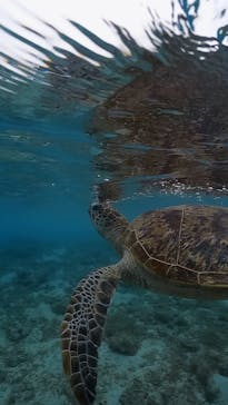 isola blue（イゾラブルー）に投稿された画像（2024/6/2）