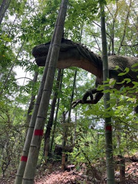 みろくの里に投稿された画像（2024/6/2）