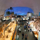 福井県立恐竜博物館に投稿された画像（2024/6/2）