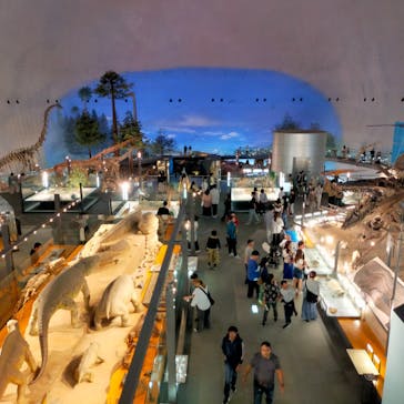 福井県立恐竜博物館に投稿された画像（2024/6/2）