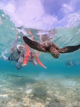 宮古島マリン GB QUESTに投稿された画像（2024/6/2）