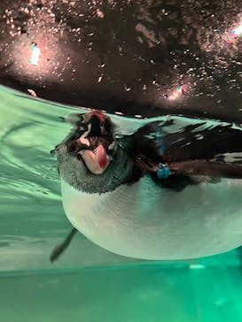 AOAO SAPPOROに投稿された画像（2024/6/2）