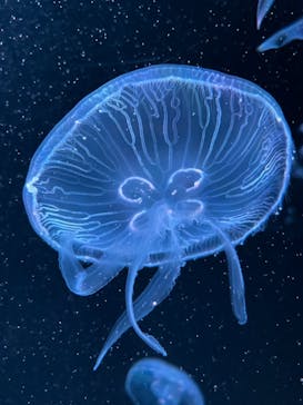 AOAO SAPPOROに投稿された画像（2024/6/2）