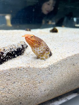 AOAO SAPPOROに投稿された画像（2024/6/2）