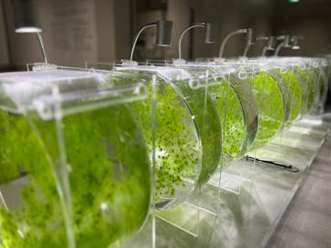 AOAO SAPPOROに投稿された画像（2024/6/2）