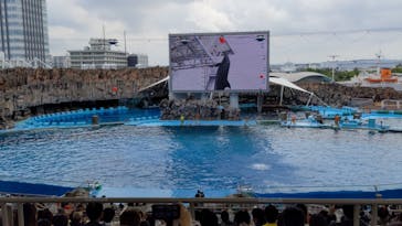 名古屋港水族館に投稿された画像（2024/6/2）