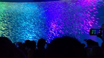 名古屋港水族館に投稿された画像（2024/6/2）