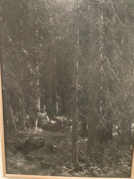 北欧の神秘（ＳＯＭＰＯ美術館）に投稿された画像（2024/6/2）