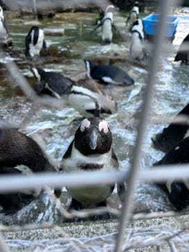 伊豆・三津シーパラダイスに投稿された画像（2024/6/2）