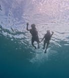 西表島 ADVENTURE PiPi（アドベンチャーピピ）に投稿された画像（2024/6/3）