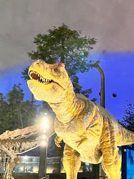 福井県立恐竜博物館に投稿された画像（2024/6/2）