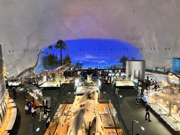福井県立恐竜博物館に投稿された画像（2024/6/2）