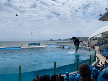 鴨川シーワールドに投稿された画像（2024/6/2）