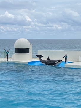 鴨川シーワールドに投稿された画像（2024/6/2）