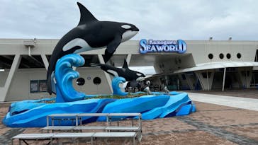 鴨川シーワールドに投稿された画像（2024/6/2）