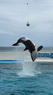 鴨川シーワールドに投稿された画像（2024/6/2）