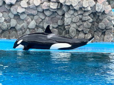 名古屋港水族館に投稿された画像（2024/6/2）