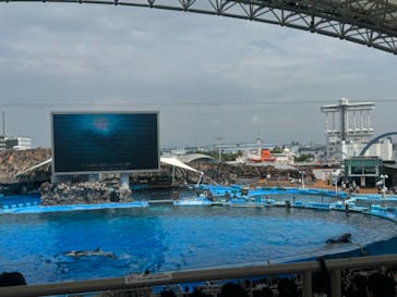 名古屋港水族館に投稿された画像（2024/6/2）