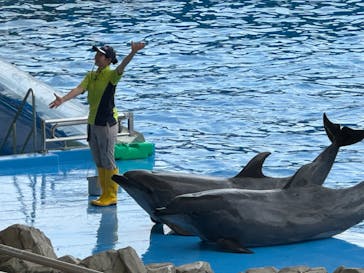 名古屋港水族館に投稿された画像（2024/6/2）
