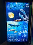 アクアワールド茨城県大洗水族館に投稿された画像（2024/6/3）