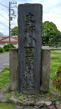 小田原城に投稿された画像（2024/6/3）