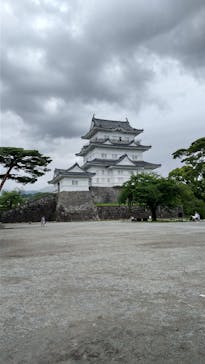 小田原城に投稿された画像（2024/6/3）