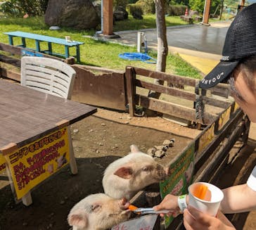 グリーンランドに投稿された画像（2024/6/3）