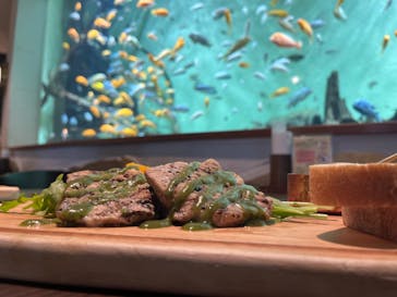 名古屋港水族館に投稿された画像（2024/6/3）