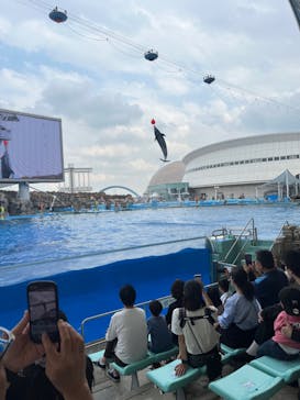 名古屋港水族館に投稿された画像（2024/6/3）