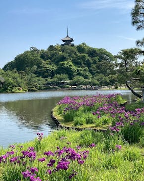 三溪園に投稿された画像（2024/6/3）