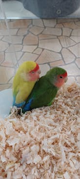 いきもの探検隊上尾に投稿された画像（2024/6/3）