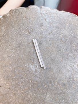 Caravella（カラベラ）に投稿された画像（2024/6/3）