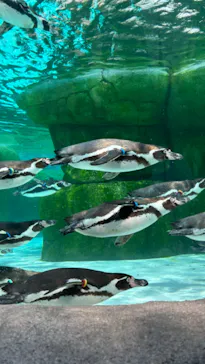 天王寺動物園に投稿された画像（2024/6/3）